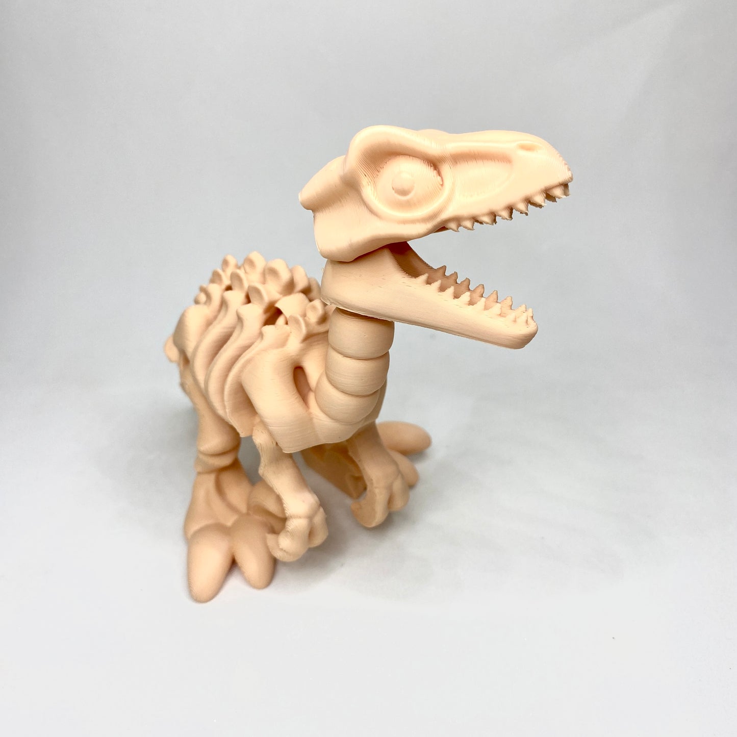 Esqueleto em 3D do dinossauro velociraptor