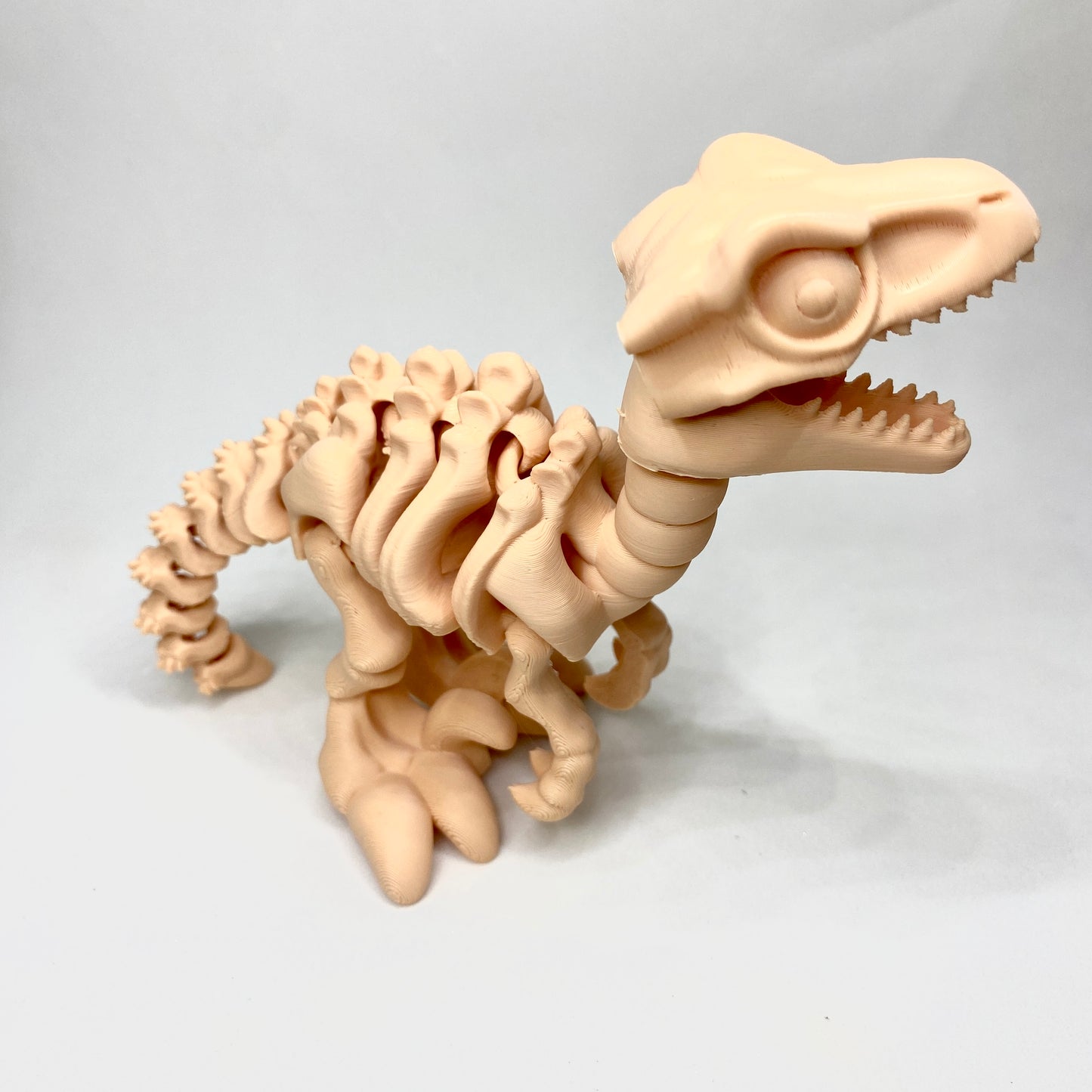 Esqueleto em 3D do dinossauro velociraptor