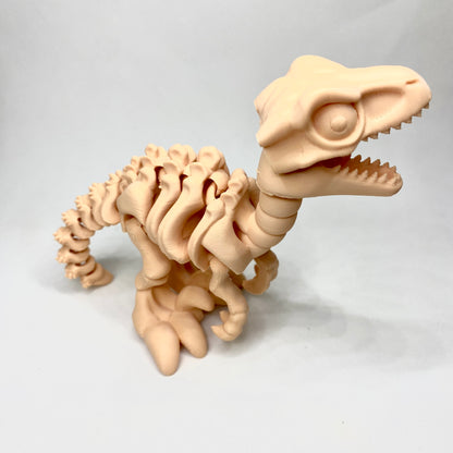 Esqueleto em 3D do dinossauro velociraptor