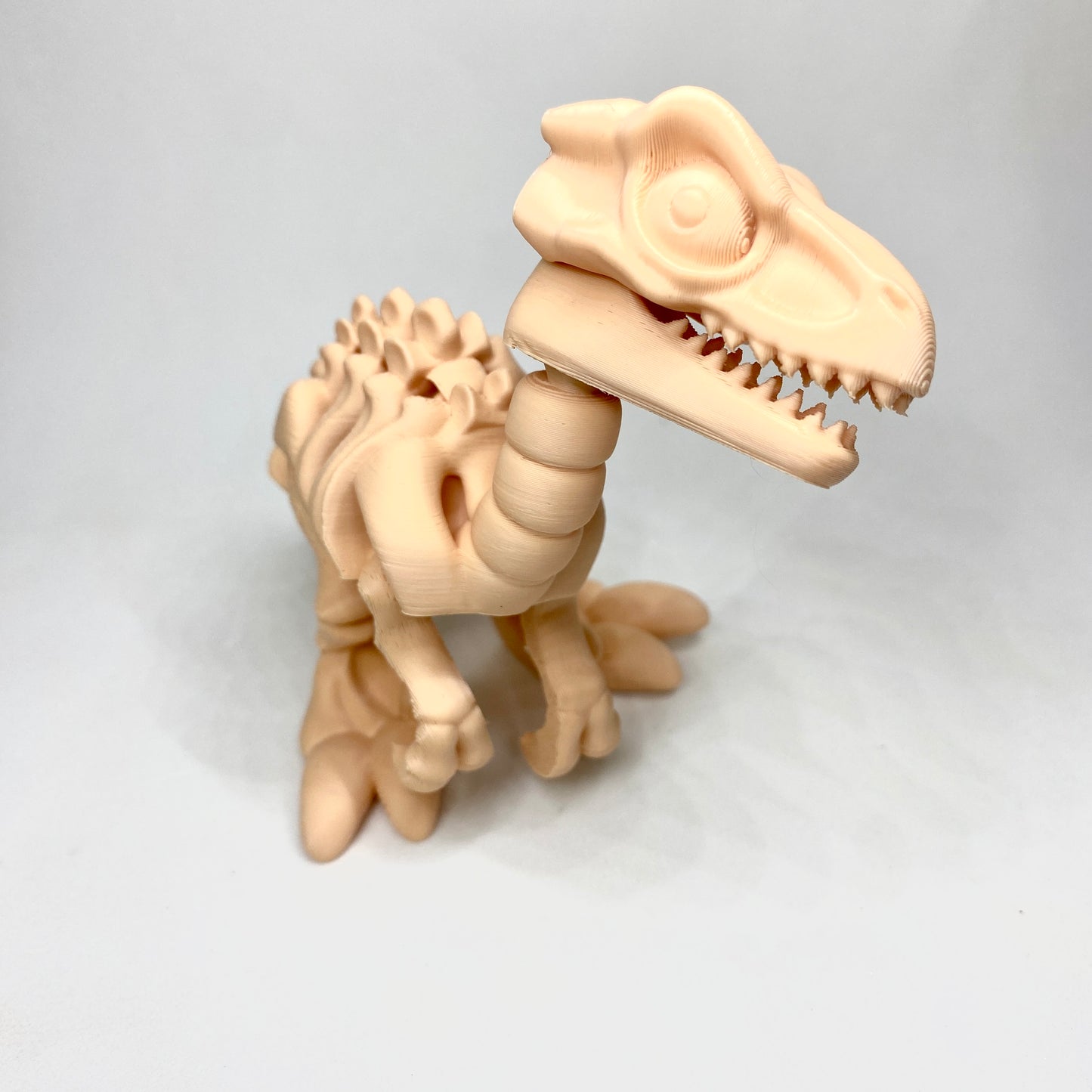 Esqueleto em 3D do dinossauro velociraptor