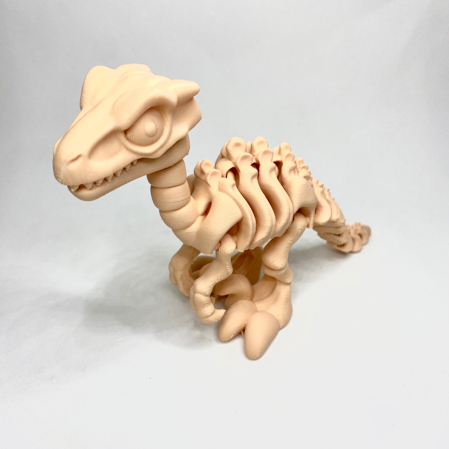 Esqueleto em 3D do dinossauro velociraptor