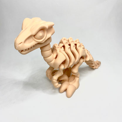 Esqueleto em 3D do dinossauro velociraptor